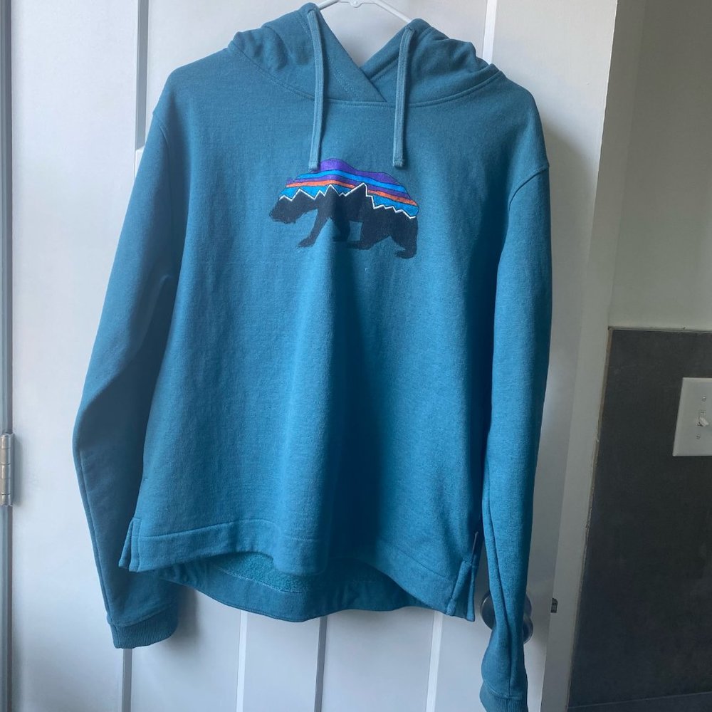 Blue Patagonia Hoodie